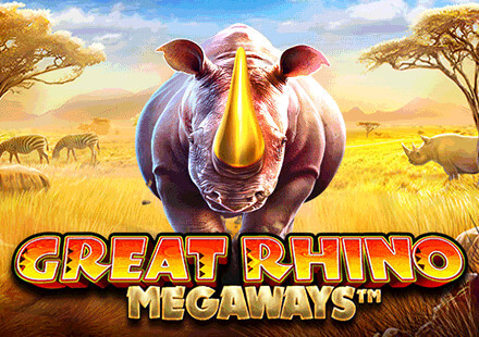 netbetbr com