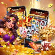 tivitbet